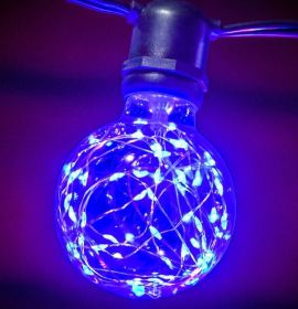 G125 Plastic Globe Bulb with Fairy Lights Inside (Option: Blue)