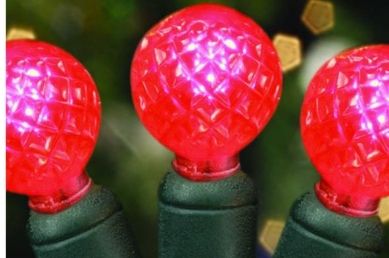 70's LED Raspberries (35ft) (Option: Red)