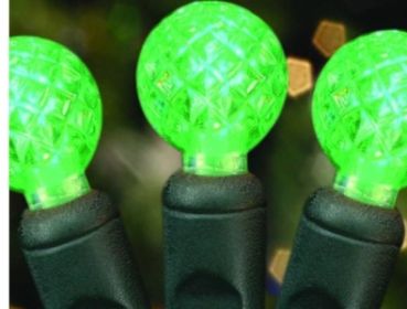 70's LED Raspberries (35ft) (Option: Green)