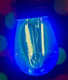 LED S14 Smooth PC Bulb (Option: Blue)